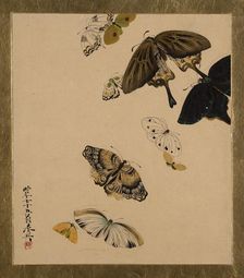 Lacquer Paintings of Various Subjects: Butterflies, dated 1881. Creator: Shibata Zeshin