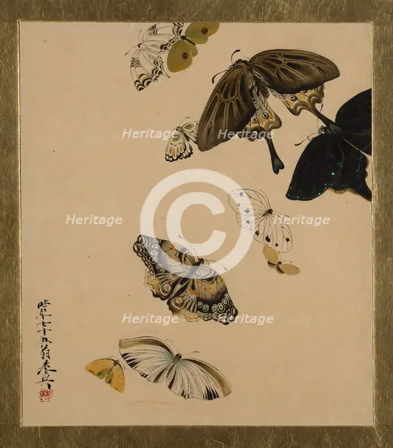 Lacquer Paintings of Various Subjects: Butterflies, dated 1881. Creator: Shibata Zeshin.