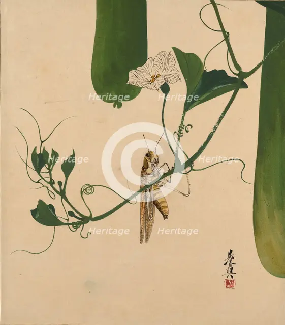 Lacquer Paintings of Various Subjects: Grasshopper on Gourd Vine, 1882. Creator: Shibata Zeshin.
