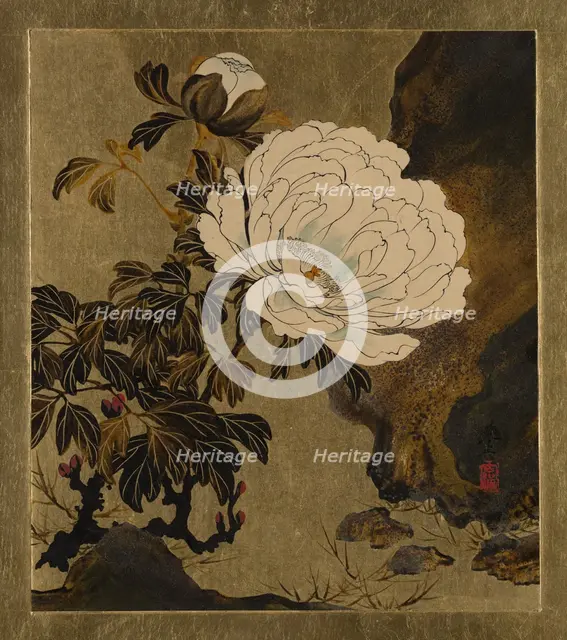 Lacquer Paintings of Various Subjects: Peonies, 1882. Creator: Shibata Zeshin.