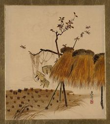 Lacquer Paintings of Various Subjects: Stack of Rice and Dragonflies, 1882. Creator: Shibata Zeshin