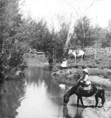 Ladies giving their horses a drink, c1900s. Creator: Robert Augustus Henry L'Estrange