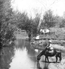 Ladies giving their horses a drink, c1900s. Creator: Robert Augustus Henry L'Estrange