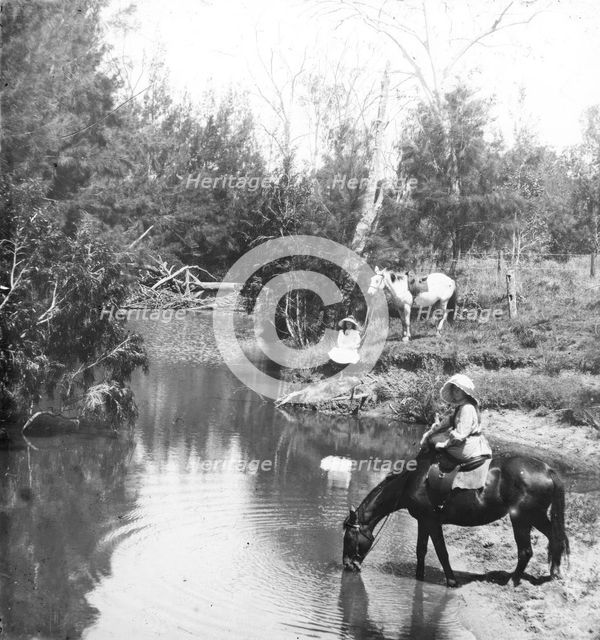 Ladies giving their horses a drink, c1900s. Creator: Robert Augustus Henry L'Estrange.