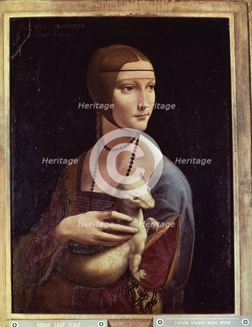 Lady with a stoat', by Leonardo da Vinci.