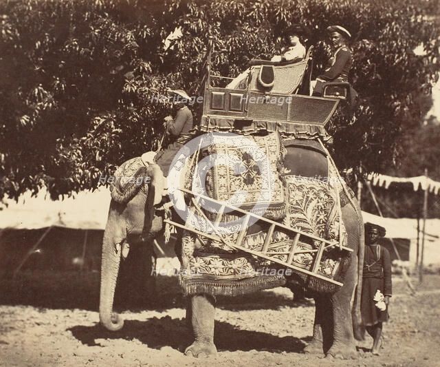 Lady Canning, 1858-61. Creator: Unknown.