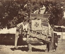 Lady Canning, 1858-61. Creator: Unknown