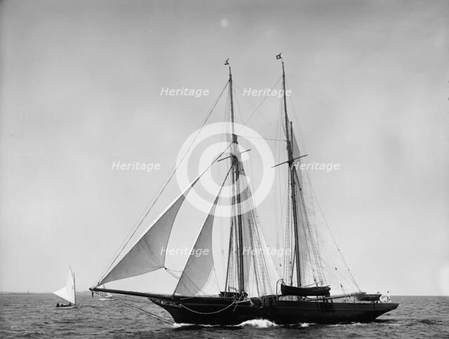 Lady Evelyn, 1899 July 29. Creator: John S Johnston.