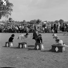 Laing Sports Ground, Rowley Lane, Elstree, Barnet, London, 16/06/1979. Creator: John Laing plc