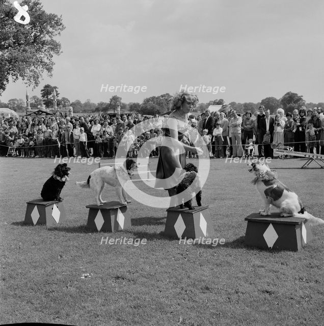 Laing Sports Ground, Rowley Lane, Elstree, Barnet, London, 16/06/1979. Creator: John Laing plc.