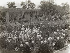 "Lake Terrace," John Stoughton Newberry, Jr., house, 99 Lake Shore Drive, Grosse Pointe Farms, 1917. Creator: Frances Benjamin Johnston