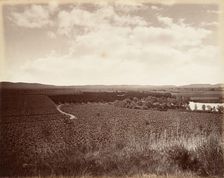 Lake Vineyard and Orange Grove, Los Angeles, 1876, printed ca. 1876. Creator: Carleton Emmons Watkins