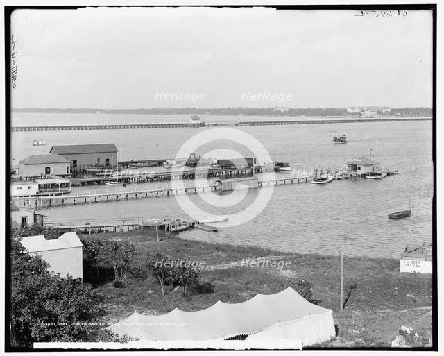 Lake Worth and the Royal Poinciana, Palm Beach, Fla., between 1900 and 1915. Creator: Unknown.