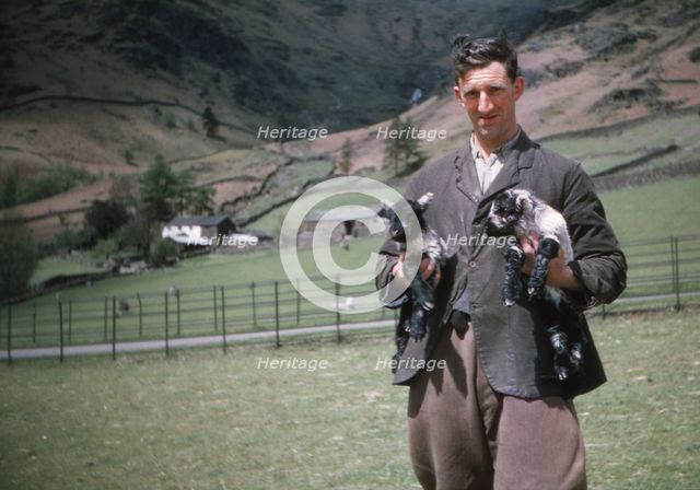 Lake District Sheep Farmer, c1960. Artist: CM Dixon.