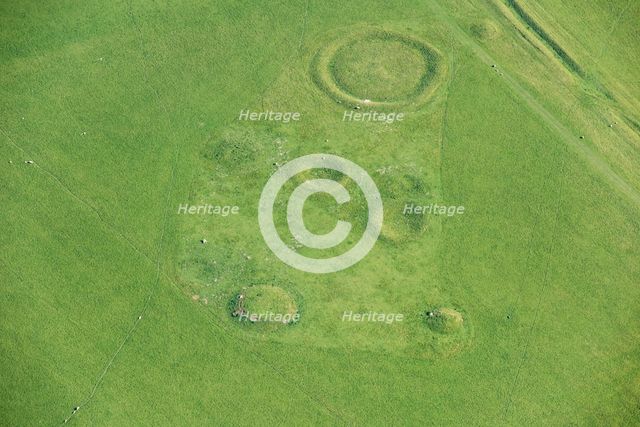 Lake Down Barrow Cemetery earthwork, Willtshire, 2017. Creator: Damian Grady.