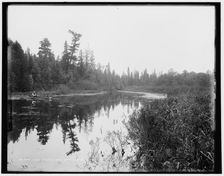 Lake Gogebic, Mich., State River, looking up, c1898. Creator: Unknown