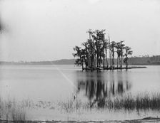 Lake Louise near Seville, Fla., between 1880 and 1897. Creator: William H. Jackson