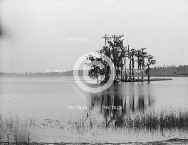 Lake Louise near Seville, Fla., between 1880 and 1897. Creator: William H. Jackson.