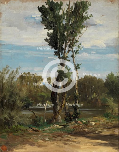 Lake of the Casa de Campo, c1872. Creator: Carlos de Haes.