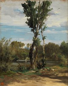 Lake of the Casa de Campo, c1872. Creator: Carlos de Haes