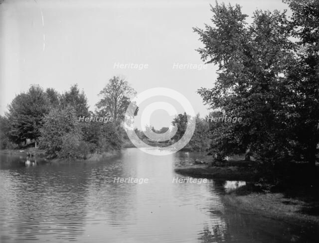 Lake, Palmer Park, Detroit, The, between 1900 and 1906. Creator: Unknown.