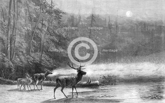"Lake Scene - Early Morning," by Mr. Wüst, 1871. Creator: William Hollidge.