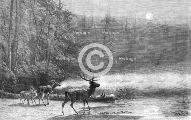 "Lake Scene - Early Morning," by Mr. Wüst, 1871. Creator: William Hollidge.