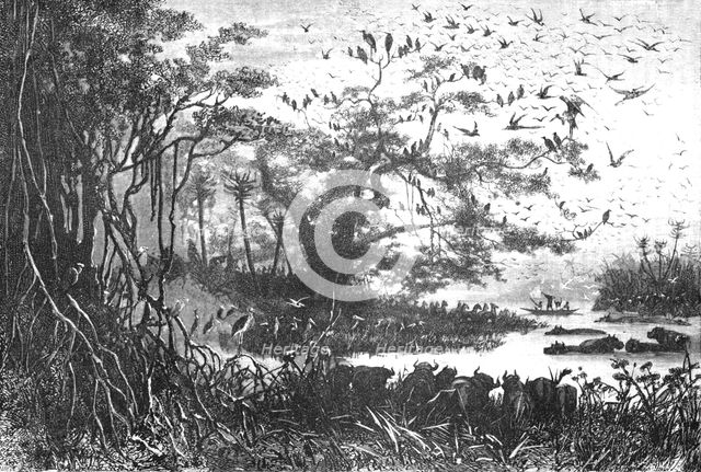 ''Lake scenery in Central Africa; The regions of the Cazembe', 1875. Creator: Unknown.