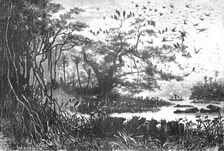 'Lake scenery in Central Africa; The regions of the Cazembe 1875. Creator: Unknown