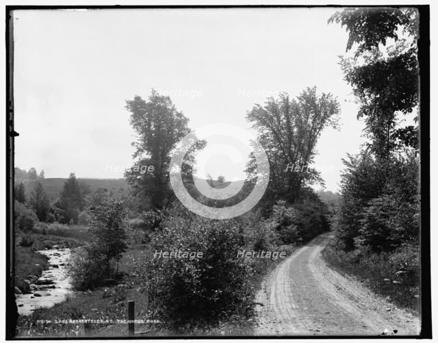 Lake Skaneateles, N.Y., the gorge road, between 1890 and 1901. Creator: Unknown.