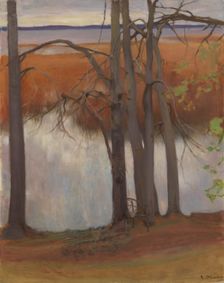 Lake Shore with Reeds, 1905. Creator: Eero Jarnefelt