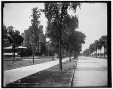 Lake Shore Drive, Chicago, 1900 Oct 3. Creator: Unknown