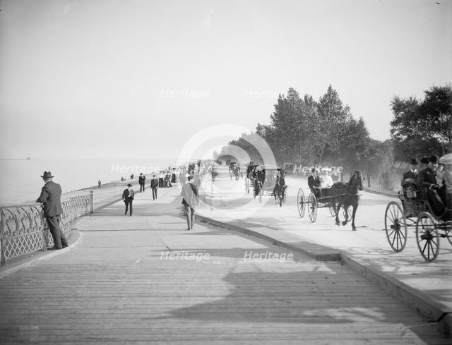 Lake Shore Drive, Lincoln Park, Chicago, Ill., c1905. Creator: Unknown.