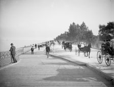 Lake Shore Drive, Lincoln Park, Chicago, Ill., c1905. Creator: Unknown