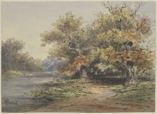 Lakeshore with tall trees, 19th century. Creator: Hermann Baisch