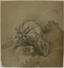 Lamb Bound to Shepherd's Crook (recto); Seated Academic Male Nude, From Back..., n.d. Creator: School of Giovanni Battista Piazzetta