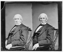 Lambert Tree, 1865-1880. Creator: Unknown