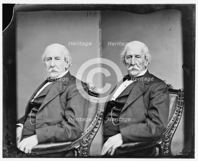 Lambert Tree, 1865-1880. Creator: Unknown.