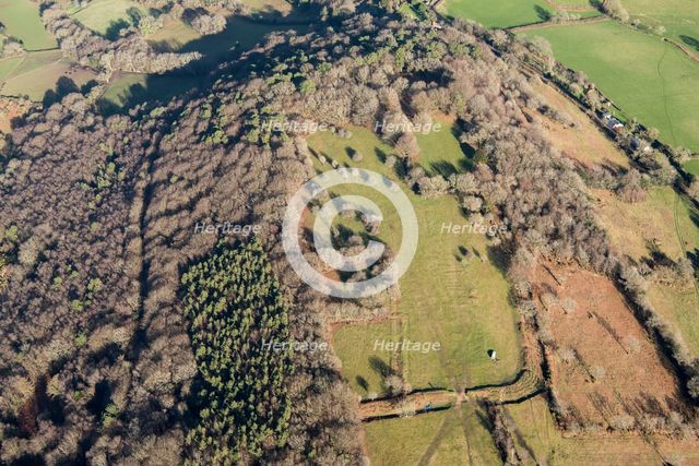 Lambert's Castle, an Iron Age hillfort with a bowl barrow, Dorset, 2019. Creator: Damian Grady.
