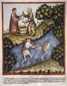 Lampreys, 14th century. Creator: Unknown