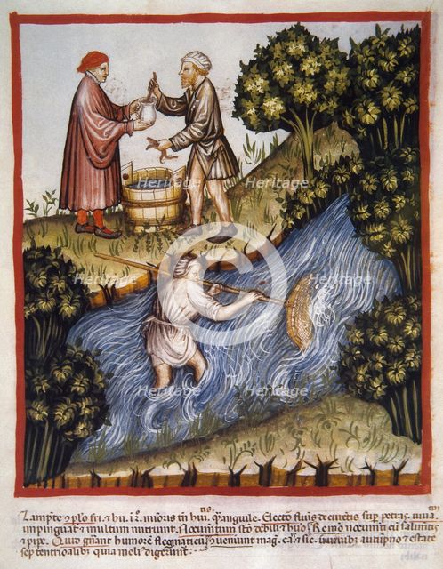 Lampreys, 14th century.  Creator: Unknown.