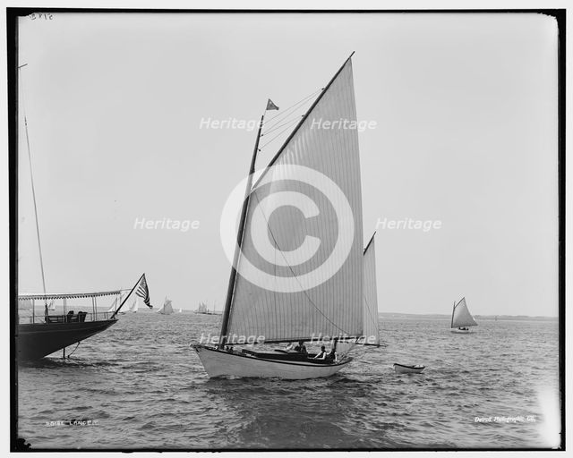 Lance, between 1880 and 1899. Creator: Unknown.