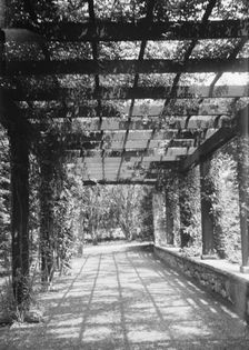 Langeloth estate, Riverside, Connecticut, 1932 June 7. Creator: Arnold Genthe