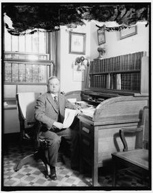 Langworthy, Chief of Home Economics Section, 1920. Creator: Harris & Ewing