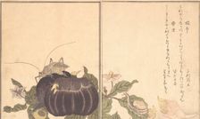 Land Snail (Katatsumuri); Giant Katydid (Kutsuwamushi) ..., 1788. Creator: Kitagawa Utamaro