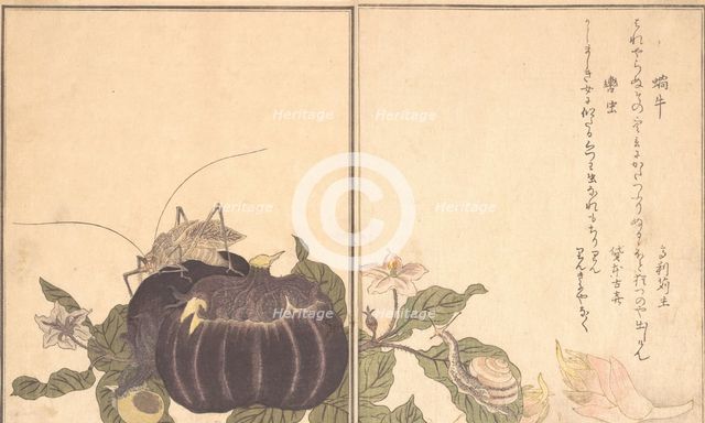 Land Snail (Katatsumuri); Giant Katydid (Kutsuwamushi) ..., 1788. Creator: Kitagawa Utamaro.