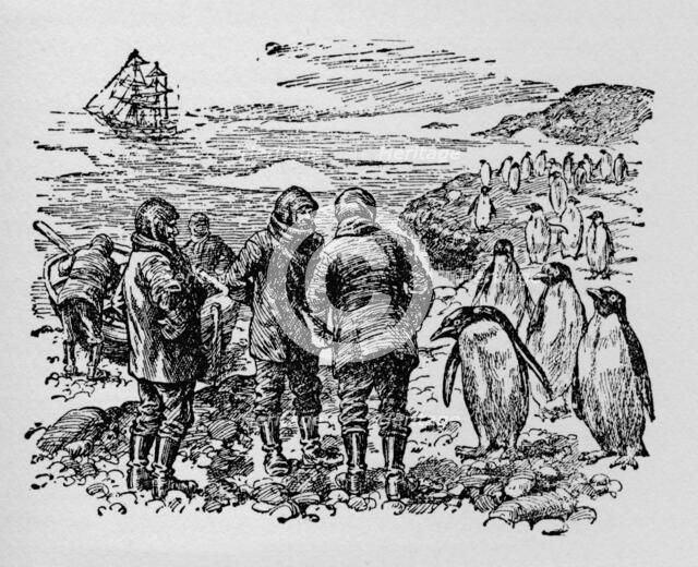 'Landed on a small island inhabited by myriads of penguins', c1918. Artist: Unknown.