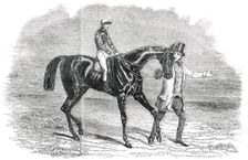 Landgrave, Winner of the Cambridgeshire Stakes at Newmarket, 1850. Creator: Unknown