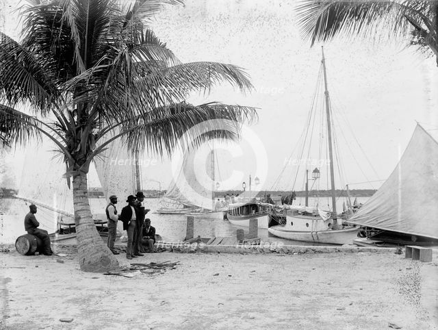 Landing at Palm Beach, between 1880 and 1897. Creator: William H. Jackson.