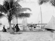Landing at Palm Beach, between 1880 and 1897. Creator: William H. Jackson